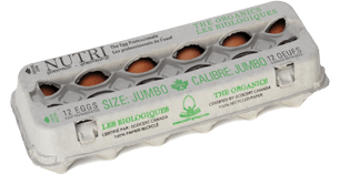 017-blanc-jumbo-12.png