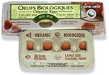 oeufs_organique.jpg